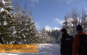 Plaisir de neige en pays d'Ambert