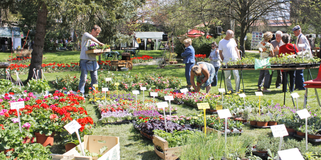 jardinerie ambert - gamm vert ambert 63